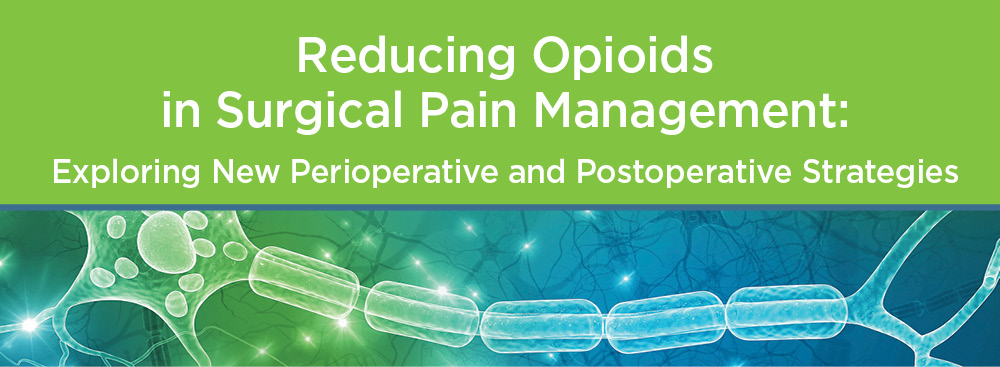 Reducing Opioids in Surgical Pain Management: Exploring New Perioperative and Postoperative Strategies